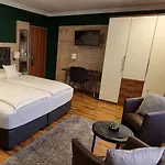 Art Bei Basel Hotel Grenzach-Wyhlen