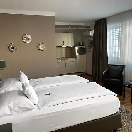 Szálloda Zum Ziel Bei Basel 3*