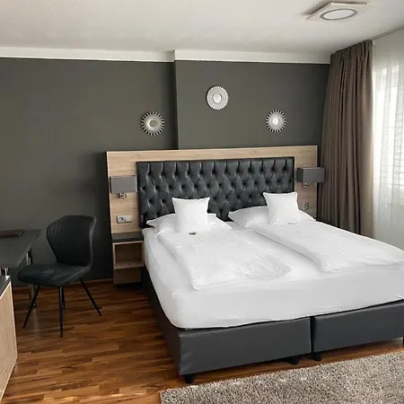 Hotel Zum Ziel Bei Basel 3*